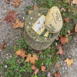 Manche Werbung ist schon übertrieben finde ich. Gibt viele solcher Aktionen.