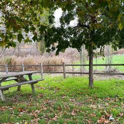 Da hab ich Pause gemacht. Hab auf der Strecke sehr viele solcher Orte mit Bänken.