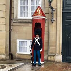 Protector of the royal family