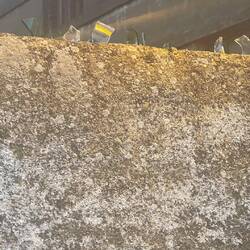 Taubenabwehr oder so. Schon einige Male gesehen hier das die einfach Glasscherben einbetoniert haben