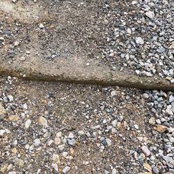 An sowas bin ich umgeknickt gestern.