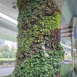 Begrünte Autobahnpfeiler