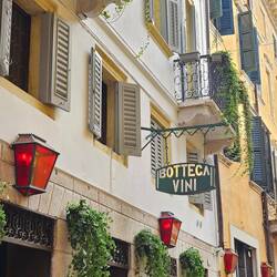 Lovely lunch with Amarone wine from the region