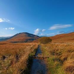 On va vers un des sommets: le Conic Hill