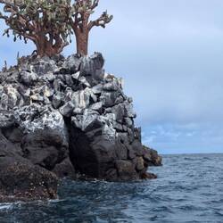The boat trip to Santa Fe Island