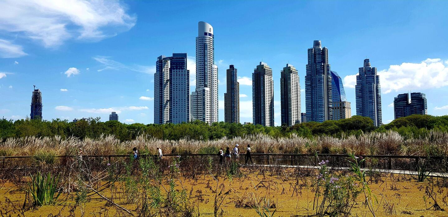 Natural reserve along the estuary of Rio de la Plata.