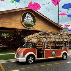 Karibischer Planwagen 🤣