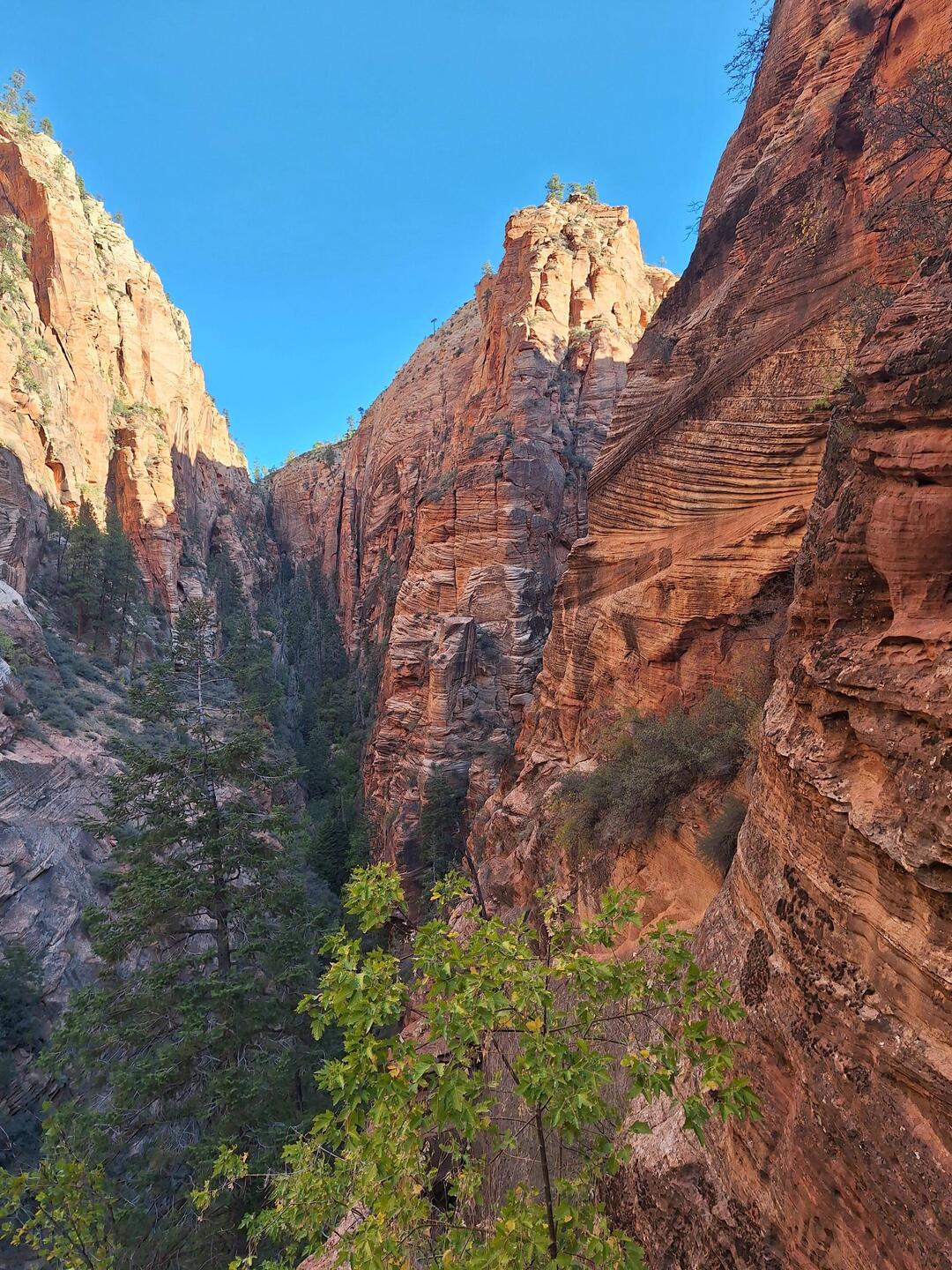 Morgensonne auf dem Weg nach oben