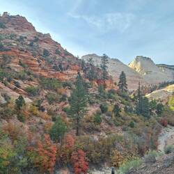 Östliche Ausfahrt mit wunderschönem Herbstlaub