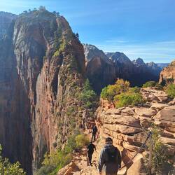 Hier geht's zu Angels Landing
