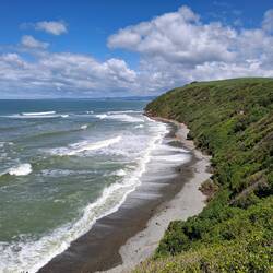 Bushy Beach
