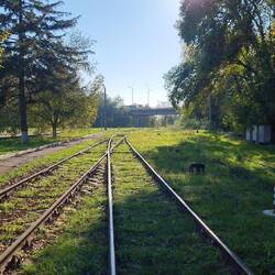 Dann ging es hier drüber