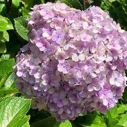 Extra für meinen Robby 😂