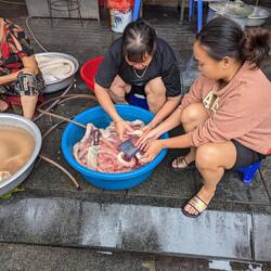 Cleaning offal, mostly intestines