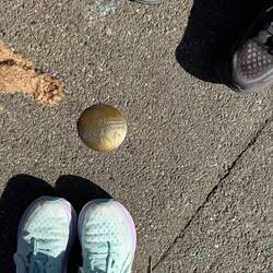 Bernadette's travels to the Grotte