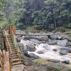 Gut 500 m Fußmarsch über Hängebrücken