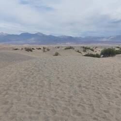 Mesquite Dunes