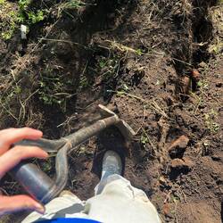 Kurze Pause für ein Bild ;)