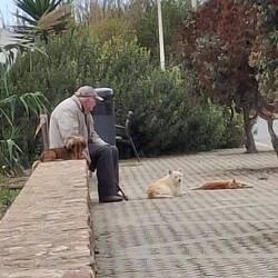 Hund und Katze einvernehmlich