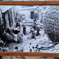 Bilderwand: Bestes Foto 1961 (aus 2 von 1961)