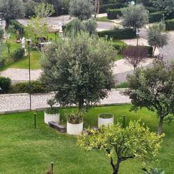 Toller CP am Fuße des Ätna