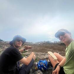 Paninis faits par nos soins