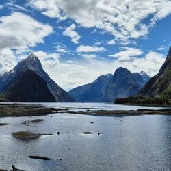 Angekommen: Milford Sound