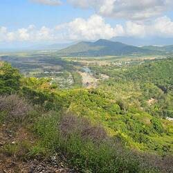 Views from the train