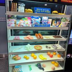 Verbotene Lebensmittel für die Einreise nach Japan. Am nächsten Tag müssen wir unsere Bananen abgebe