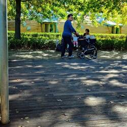 Hunde in Kinderwägen