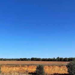 Strahlend blauer Himmel. 🤮