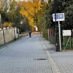 Da ist Vance! Ob ich ihn wohl morgen wieder sehe