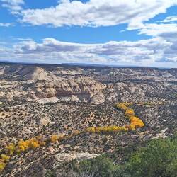 Der Flusslauf zeigt sich gelb