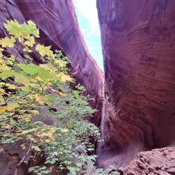 Unten angekommen im Singing Canyon