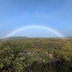 A rainbow appeared at the top of Volcan Sierra Negra as the clouds cleared