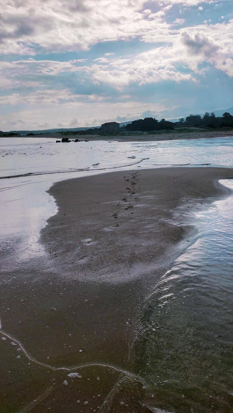 Wie die erste Spur auf der Piste