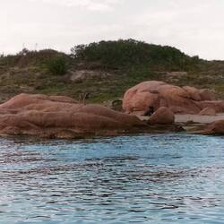 Frauchen geht ohne uns in's Wasser - ob acht
