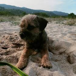 🙄 immer noch Sand