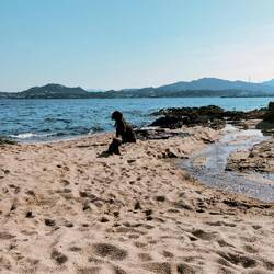 Geburtstags Plätzchen