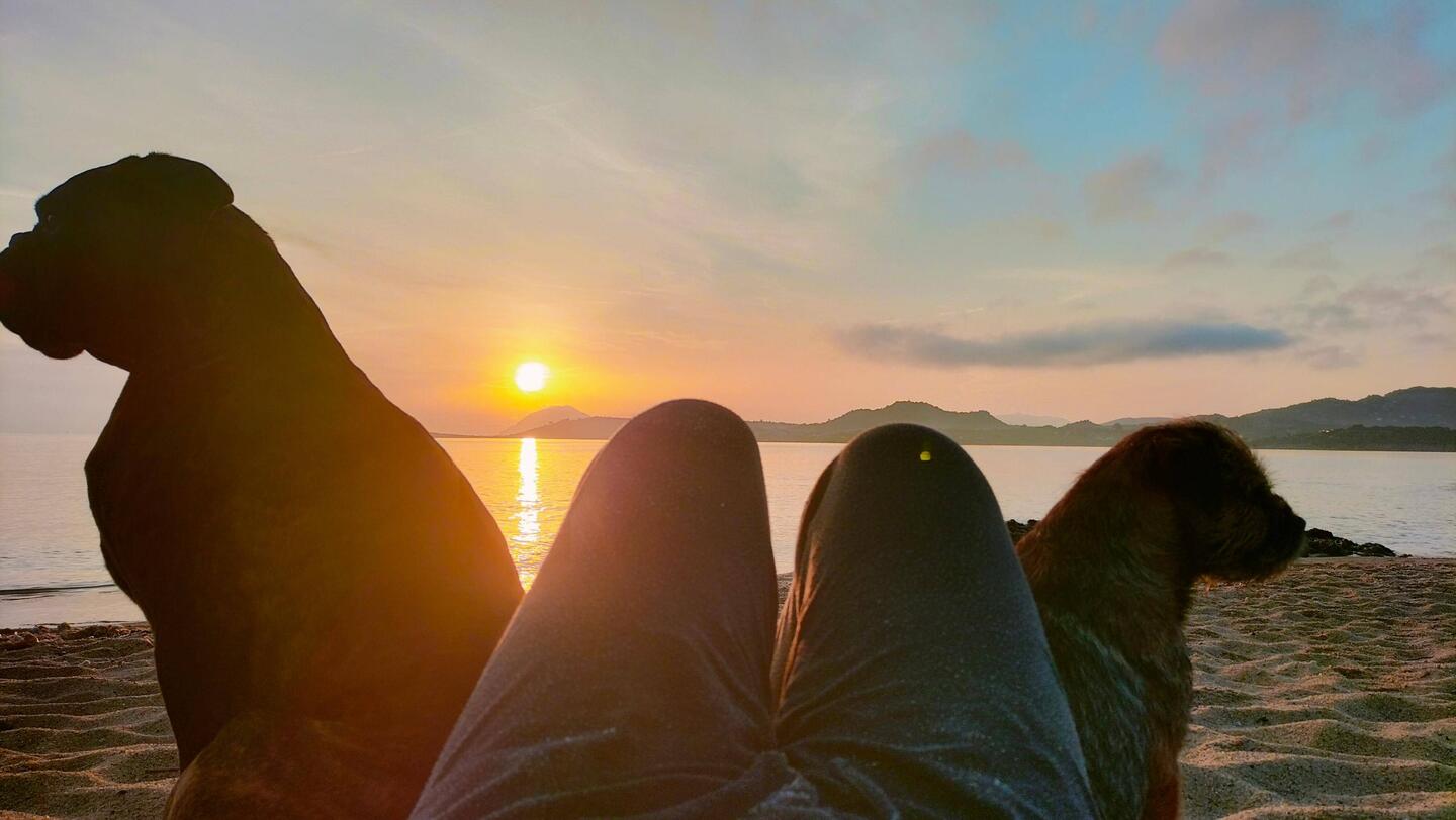 Perfekter Start 🌅