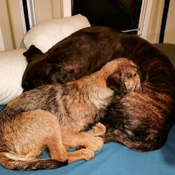 2 wie Pech & Schwefel