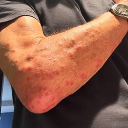 Mein Mitbringsel aus dem Homestay in Bac Ha...