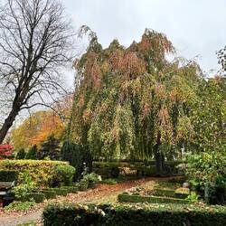 The cemetery was so beautiful