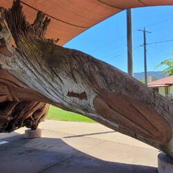 Sculpture of a phoenix found on the mosaic trail