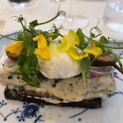 I had the herring with mustard sauce and a poached egg