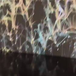 Interlinked by Ix Shells