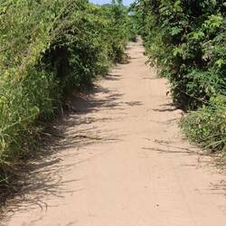 Black Mamba (Bildmitte, linke Seite)