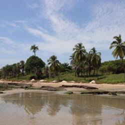 Strand in Cap Skirring