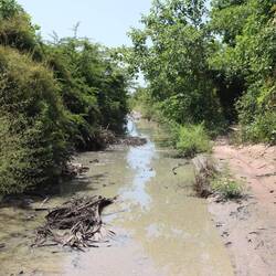 Straße nach Cap Skirring