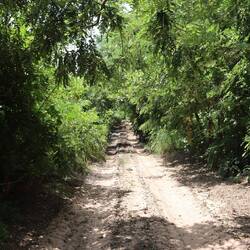 Straße nach Cap Skirring